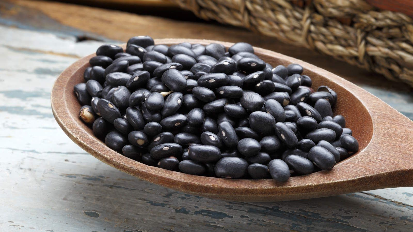 Grow Black Beans: Bumper Harvests Made Easy with Sun & Soil