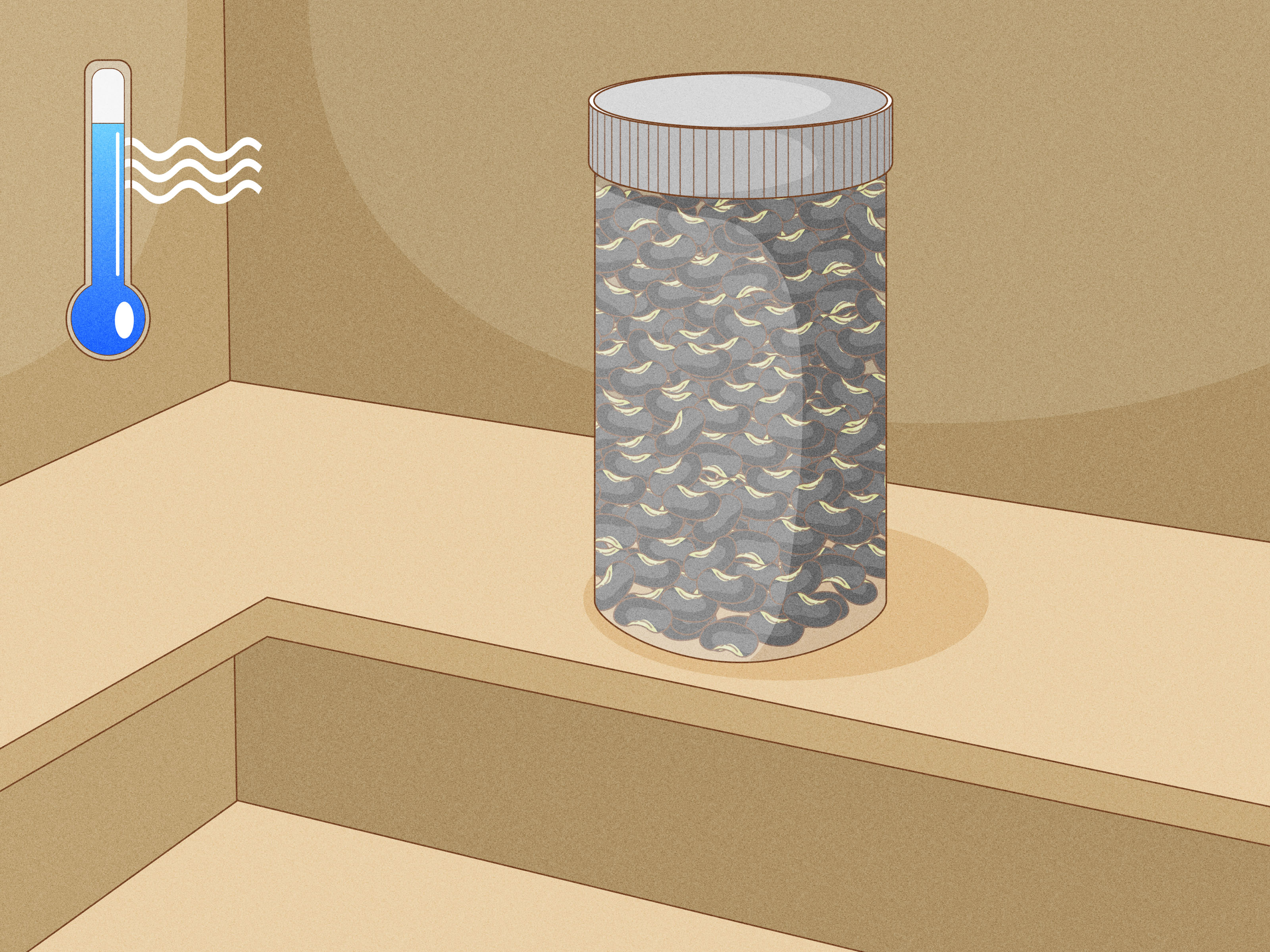 Why Grow Black Beans? Unlock Fuss-Free & Flavorful Home Harvests